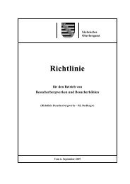 Sächsische Richtlinie Besucherbergwerke - Unbekannter Bergbau