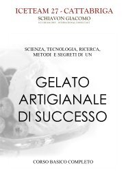 GELATO ARTIGIANALE DI SUCCESSO - Ice Team 1927 || Home