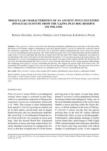 molecular characteristics of an ancient pinus sylvestris