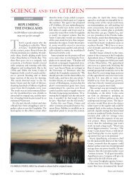 Replumbing the Everglades - Scientific American Digital