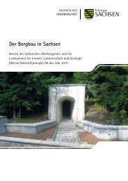 Jahresbericht 2010 - Unbekannter Bergbau