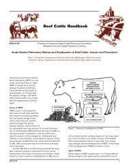 Acute Bovine Pulmonary Edema and ... - Iowa Beef Center
