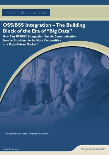OSS/BSS Integration â The Building Block of the ... - Prepaid MVNO