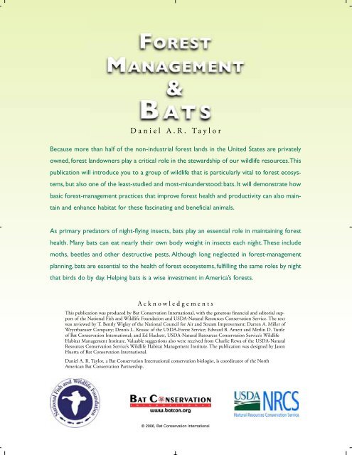 Forest Management & Bats - Bat Conservation International