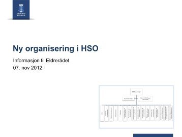 Ny organisering i HSO - Drammen kommune