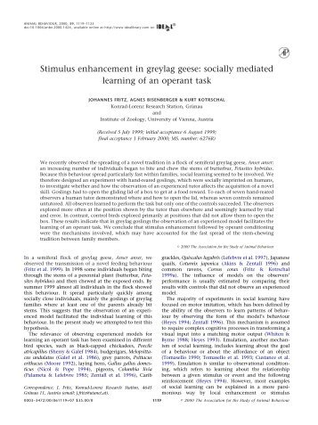 Stimulus enhancement in greylag geese - Konrad Lorenz ...