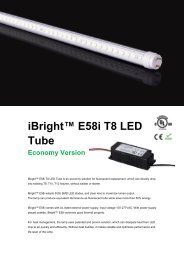 iBrightâ¢ E58i T8 LED Tube Economy Version - Del Lighting