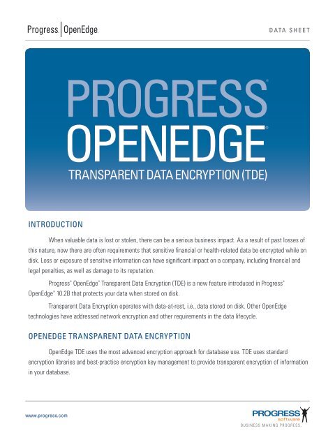 Data Sheet: Progress OpenEdge Transparent Data Encryption (TDE)
