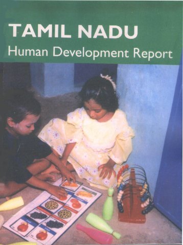 Full Report (English) - United Nations Development Programme