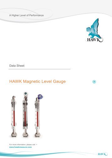 e-HAWK Magnetic Level Gauge Data Sheet - Hawk Measurement