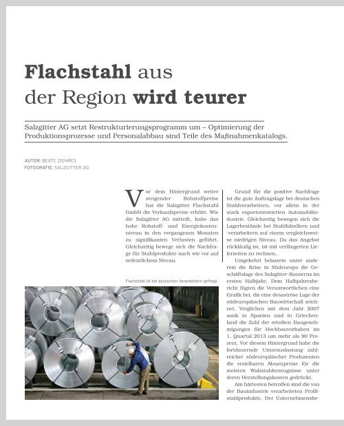 regjo Südostniedersachsen - Heft IV 2013 - Visionen