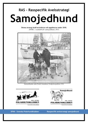 RAS - Rasspecifik Avelsstrategi - SPHK Samojed