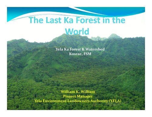 Yela Ka Forest & Watershed Kosrae, FSM - RarePlanet