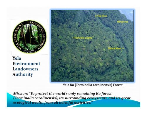 Yela Ka Forest & Watershed Kosrae, FSM - RarePlanet