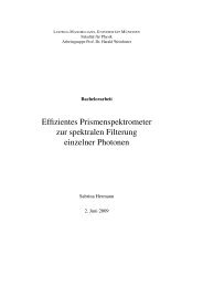 Effizientes Prismenspektrometer zur spektralen Filterung einzelner ...