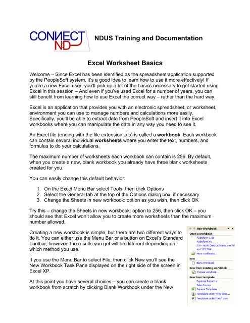 NDUS Training and Documentation Excel Worksheet Basics