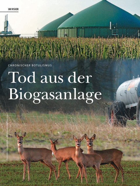 Tod Aus Der Biogasanlage - Wild und Hund