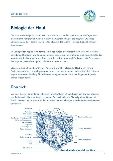 Biologie der Haut - Penaten