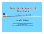 Molecular Systematics of Nematodes - Russian Journal of Nematology