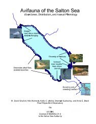 Avifauna of the Salton Sea: Abundance, distribution, and annual