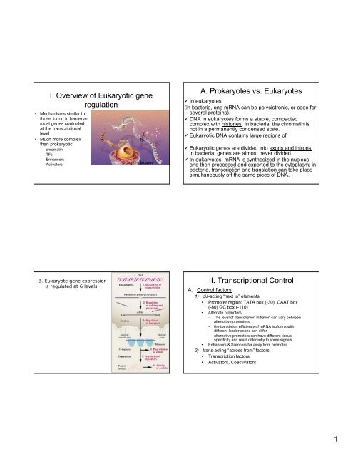 Regulation of gene expression in eukaryotes