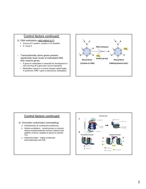 Regulation of gene expression in eukaryotes