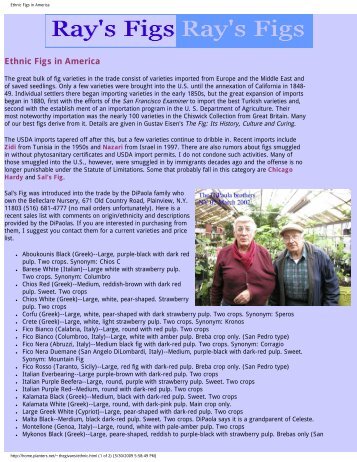 Ethnic Figs in America - Figs 4 Fun