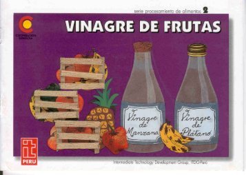 vinagre de frutas.pdf