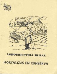 Hortalizas en conserva.pdf