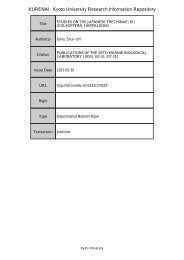 STUDIES ON THE JAPANESE TRECHINAE (III)(COLEOPTERA ...