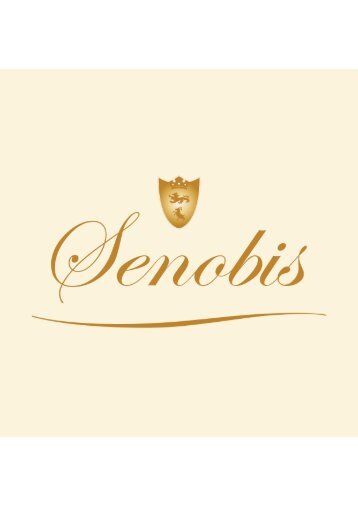 Senobis-Profilbrochure