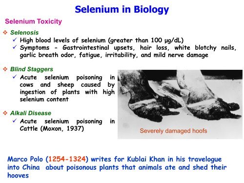 Title : Selenium, the Element of Moon in Life on Earth - IRCC