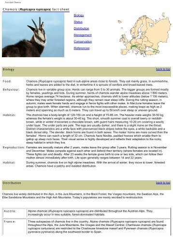 Species Fact Sheet (PDF) - Kora