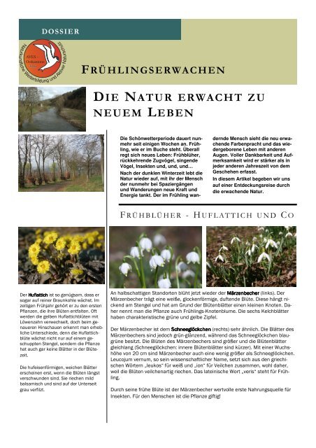 DIE NATUR ERWACHT ZU NEUEM LEBEN - AVES - Ostkantone