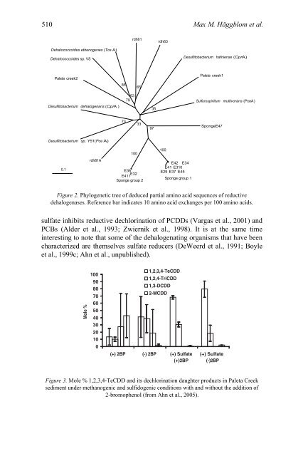 anaerobic dehalogenation of halogenated organic compounds