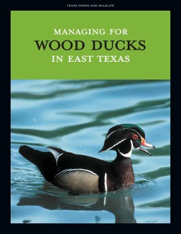 Managing for Wood Ducks in East Texas - Texas Parks & Wildlife ...