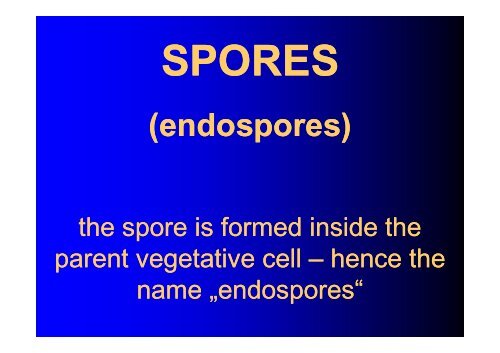 SPORES - LF