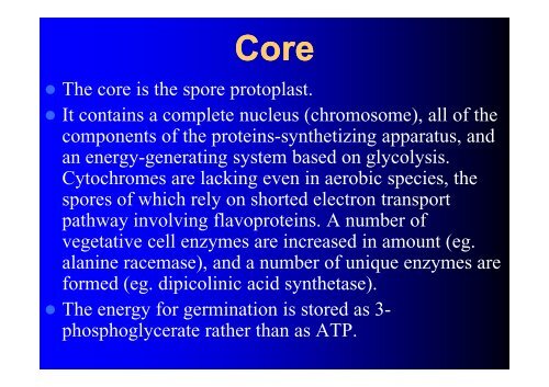 SPORES - LF