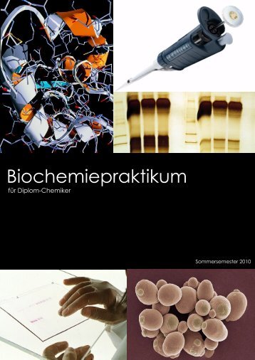 Biochemiepraktikum