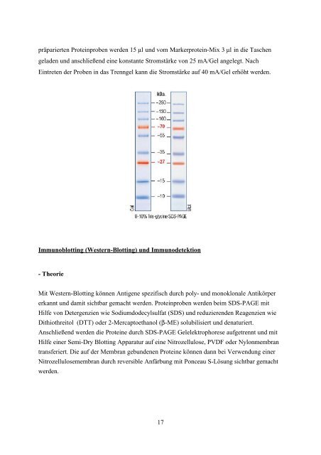 Biochemiepraktikum