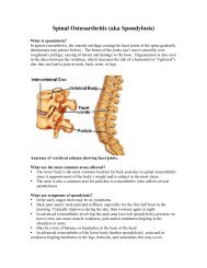 Spinal Osteoarthritis (aka Spondylosis)