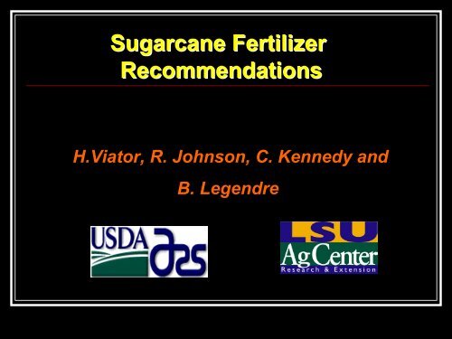 Sugarcane Fertilizer Recommendations