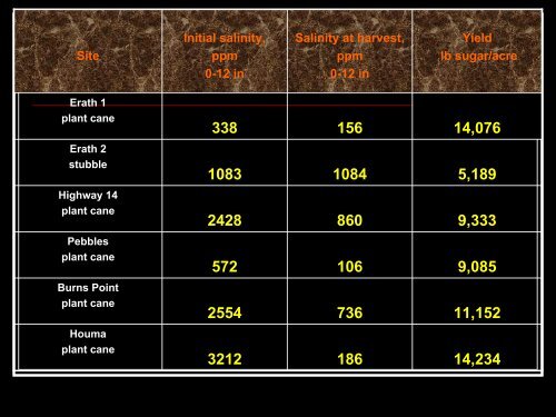 Sugarcane Fertilizer Recommendations