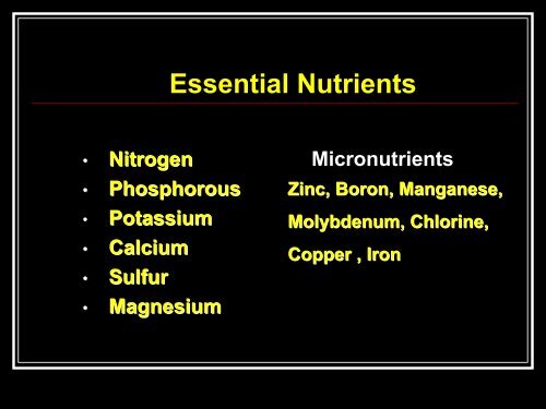 Sugarcane Fertilizer Recommendations