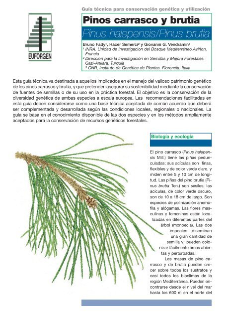 Pinus halepensis esp.indd - Inia