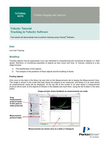 Volocity Tutorial Tracking in Volocity Software - PerkinElmer