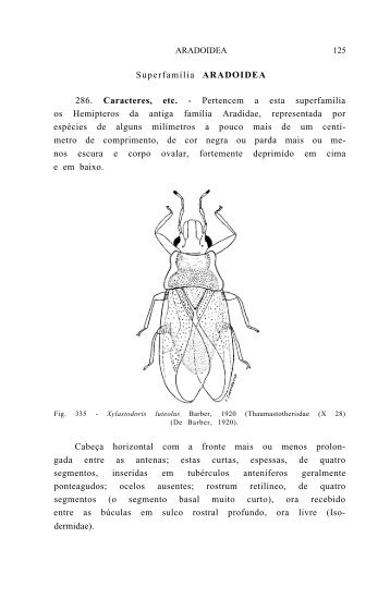 SuperfamÃƒÂ­lia ARADOIDEA 286. Caracteres, etc. - Pertencem a esta ...