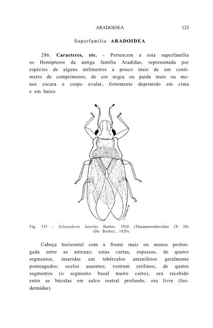 SuperfamÃƒÂ­lia ARADOIDEA 286. Caracteres, etc. - Pertencem a esta ...