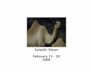 Salalah, Oman February 15 - 20 2008 - Sail Billabong