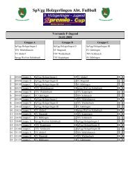 SpVgg Holzgerlingen Abt. Fußball